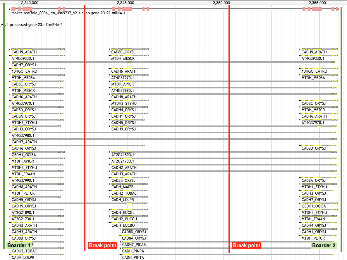 BRK File - What is a .brk file and how do I open it?