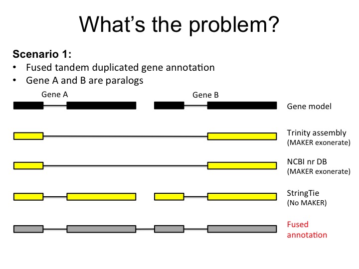 _images/tandem_problem1.jpg